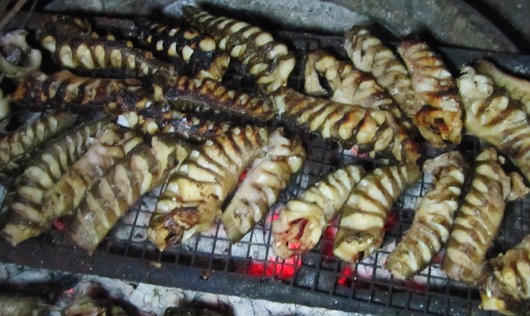 Cá lóc nướng kho gừng ấm lòng ngày đông rét