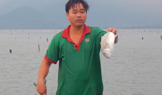 Mất ăn mất ngủ vì cá nuôi chết trắng lồng ở Lăng Cô