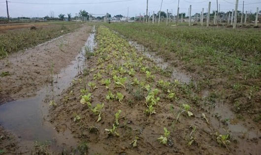 Sau mưa lũ, Huế phải hứng chịu 'bão' giá