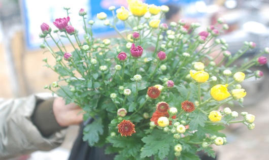 Chợ phiên 500 năm nhộn nhịp ngày Tết