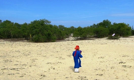 Quảng Trị: Hàng trăm trai tráng tranh nhau cướp cù cầu may 