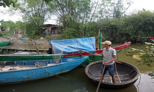 Huế:  Xuất hiện cá chết gần nơi dải nước màu vàng 