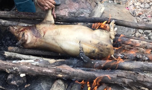 'Hãy yêu người đẹp Chênh Vênh đúng cách'