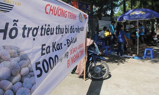 Bạn trẻ Huế chung tay 'giải cứu' bí đỏ cho nông dân Đắk Lắk