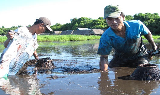 Hàng trăm người háo hức đội nắng, tắm bùn bắt cá lấy 'hên' ở Quảng Trị
