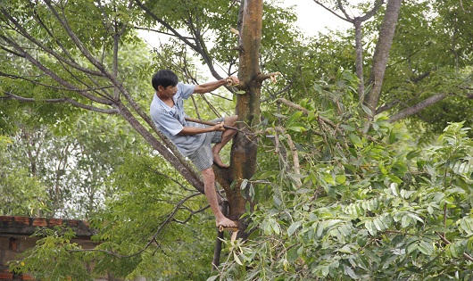 Người dân Quảng Trị “chạy đua” ứng phó trước giờ bão số 10 đổ bộ