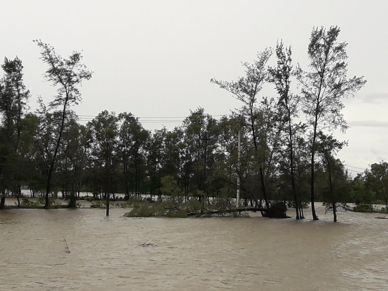 Quảng Trị: Cây đổ chặn nhiều đường, hàng chục nhà dân tốc mái