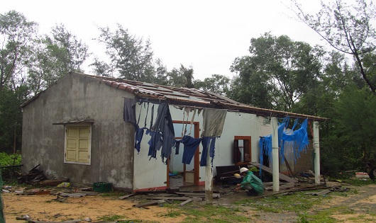 Gần 2000 ha “vàng trắng” ở Quảng Trị tiêu tan sau bão số 10