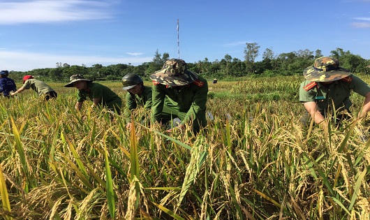 Công an Quảng Trị leo cây lội ruộng giúp dân khắc phục hậu quả bão