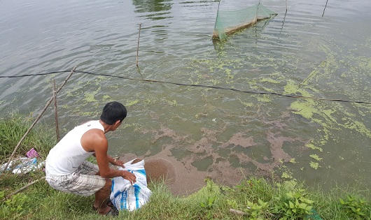 Phòng giao dịch NHCSXH thị xã Hương Thủy 15 năm đồng hành cùng người nghèo