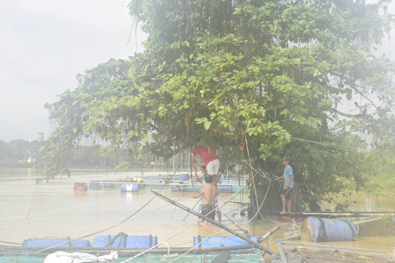 Huế: Công an giúp dân thu dọn cá chết