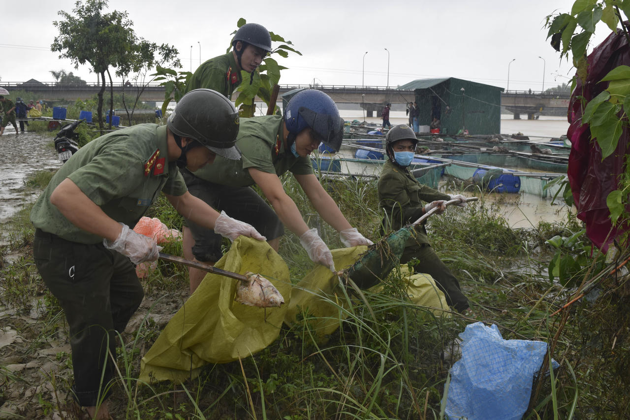 Huế: Công an giúp dân thu dọn cá chết