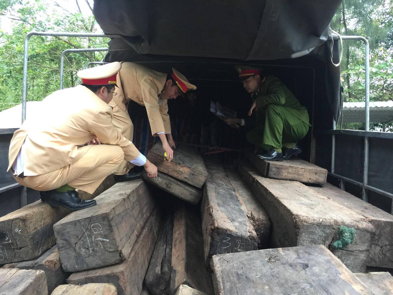 Phát hiện số lượng lớn gỗ Mun không có hoá đơn chứng từ