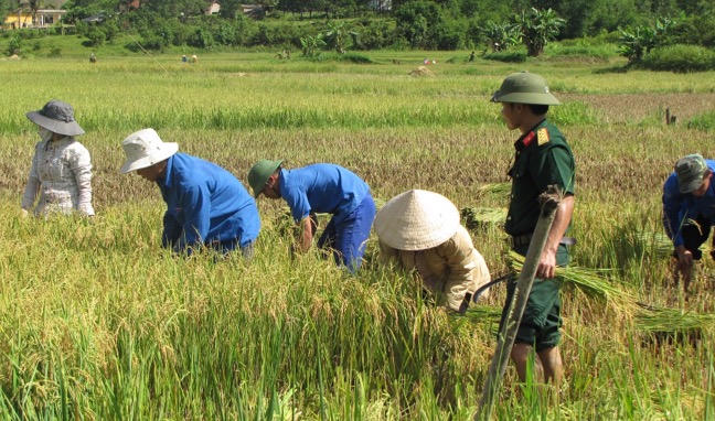 Cảnh 'lạ' đầu năm trên vùng 'đất chết' A Sho