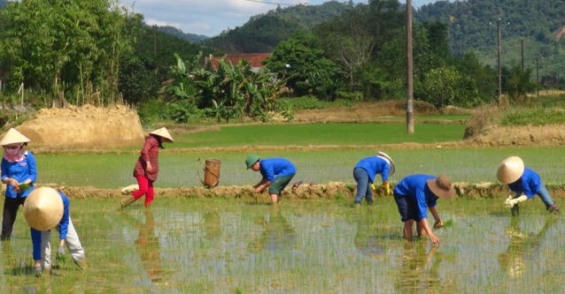 Cảnh 'lạ' đầu năm trên vùng 'đất chết' A Sho