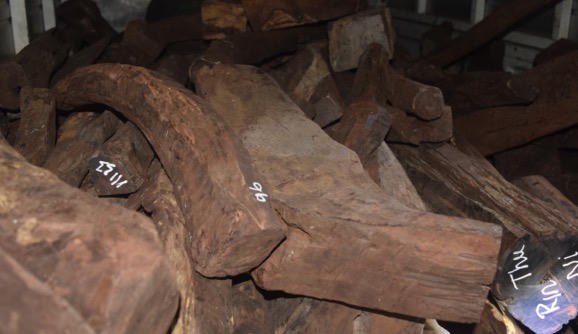 Phát hiện ô tô chở gỗ không rõ nguồn gốc  