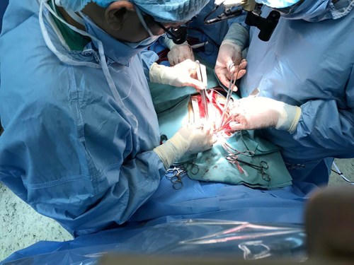 Thêm một ca ghép tim xuyên Việt thành công