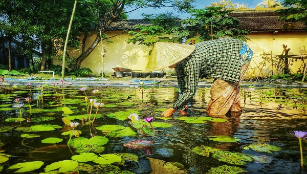 Khởi nghiệp thành công nhờ mô hình “bắt” cát biển nở hoa