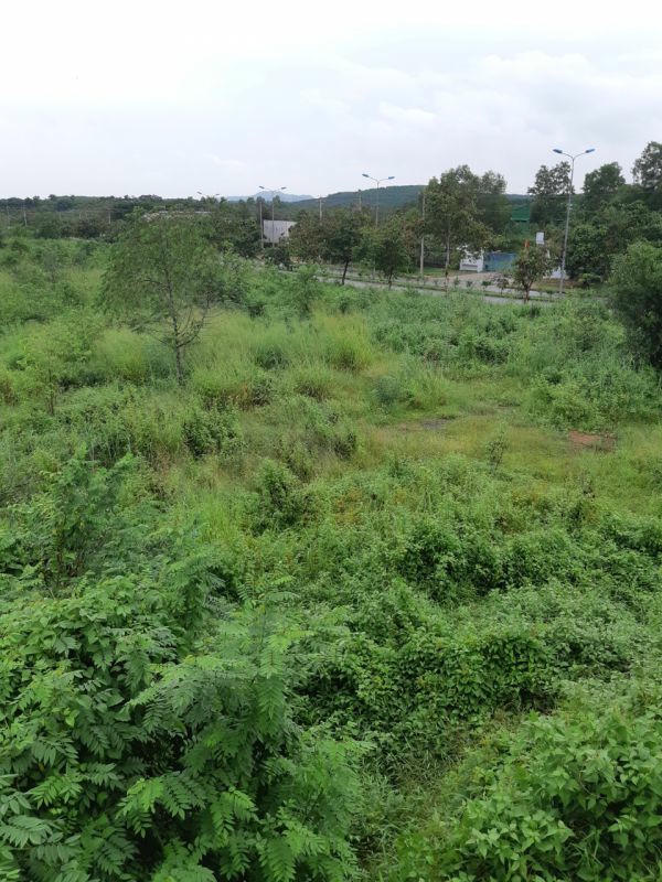 Doanh nghiệp khiếu nại Sở TN-MT Đồng Nai cấp 2 sổ đỏ trên 1 khu đất