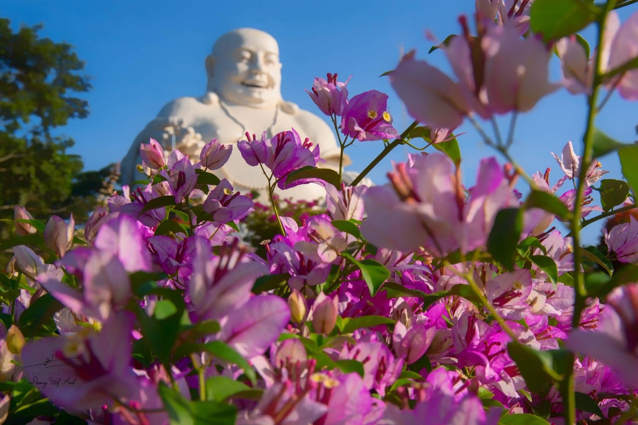 Huyền bí núi Cấm