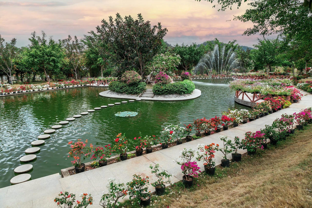 Khi những tấm pin biến thành “thiên đường check-in”