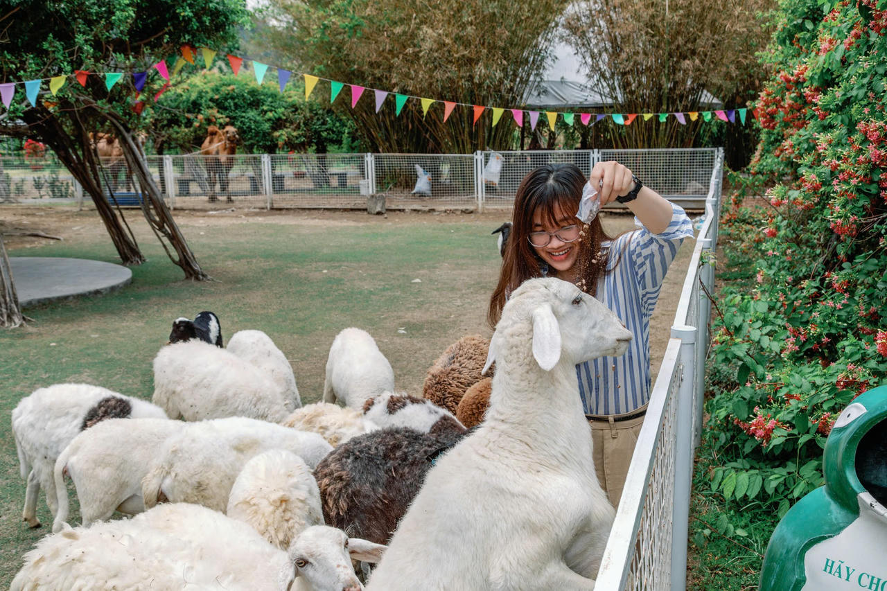 Khi những tấm pin biến thành “thiên đường check-in”