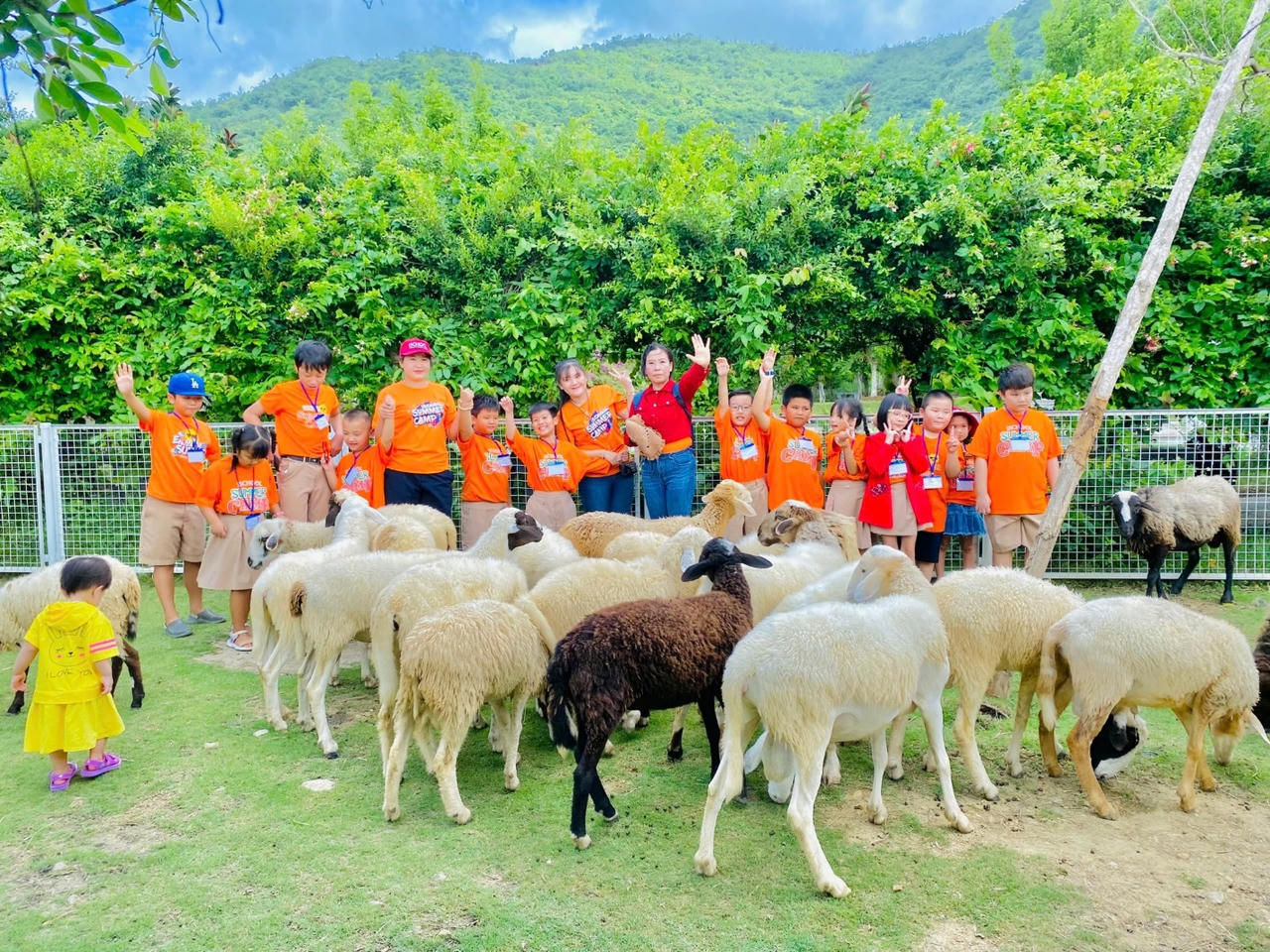 Tiềm năng điện mặt trời vùng Tây Nam