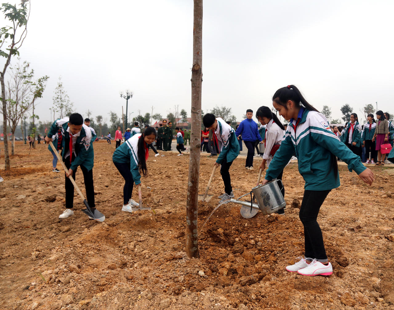 Phú Thọ phát động tết trồng cây xuân Kỷ Hợi 2019