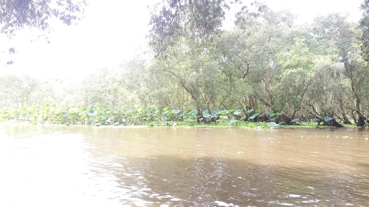 An Giang: Tích cực triển khai phòng, chữa cháy rừng mùa khô 2019