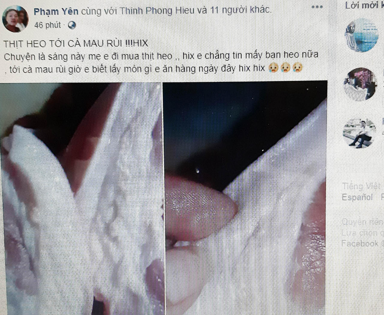 Sẽ xử lý đối tượng tung tin đồn dịch tả lợn Châu Phi xuất hiện tại Cà Mau 