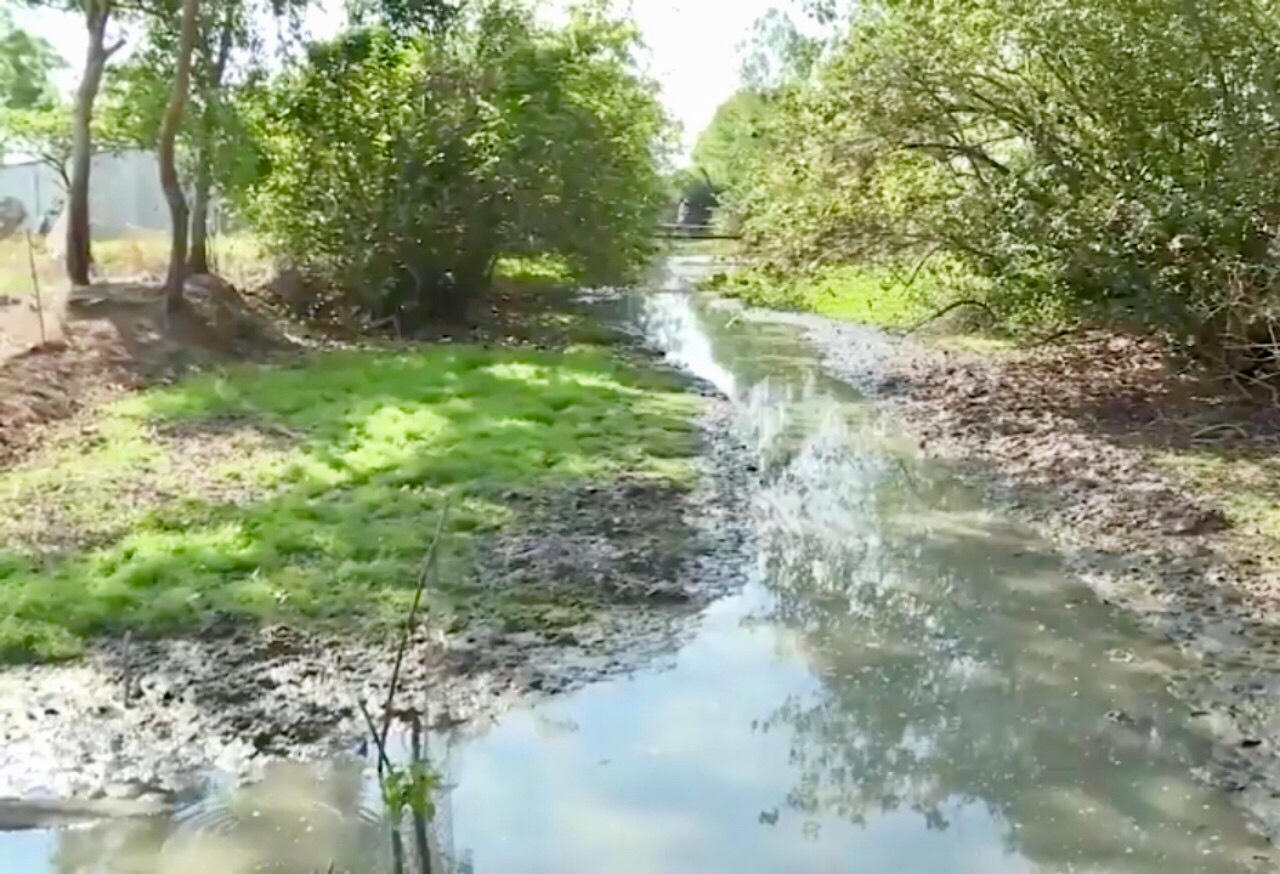 Báo động tình trạng xây nhà lấn chiếm lòng kênh Hàng Bần (Bạc Liêu)