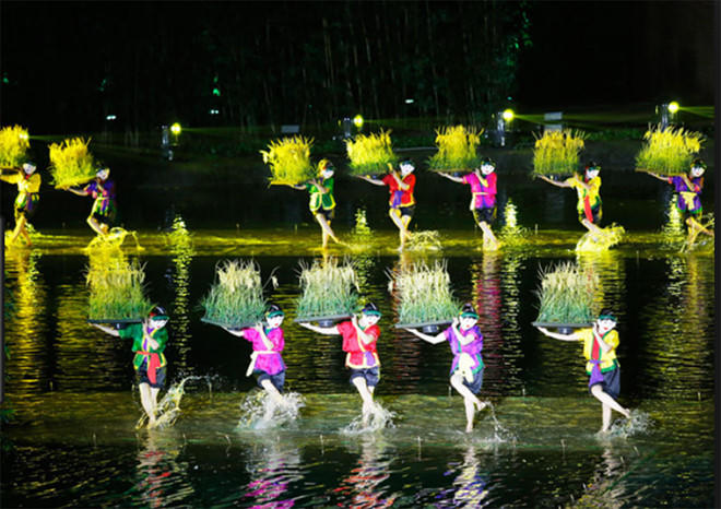 Chuyên gia pháp lý nói về vụ tranh chấp quyền sở hữu trí tuệ giữa Công ty CP Tuần Châu Hà Nội và đạo diễn Việt Tú