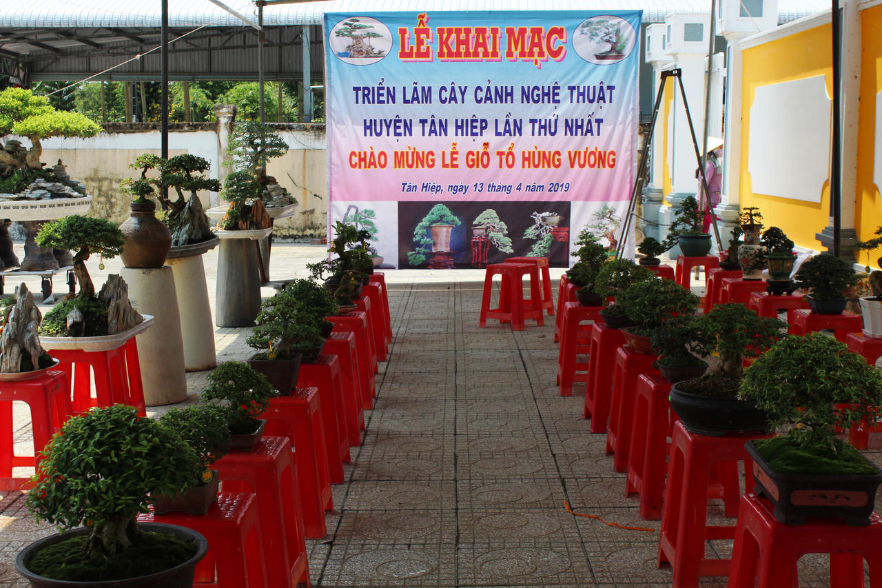 Kiên Giang sẵn sàng cho Giỗ Tổ Hùng Vương - Lễ hội Đền Hùng Tân Hiệp 2019