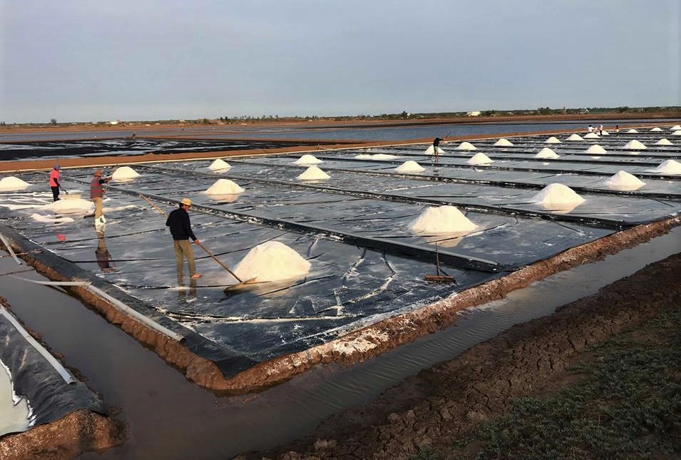 'Mùa vàng' của diêm dân Đông Hải