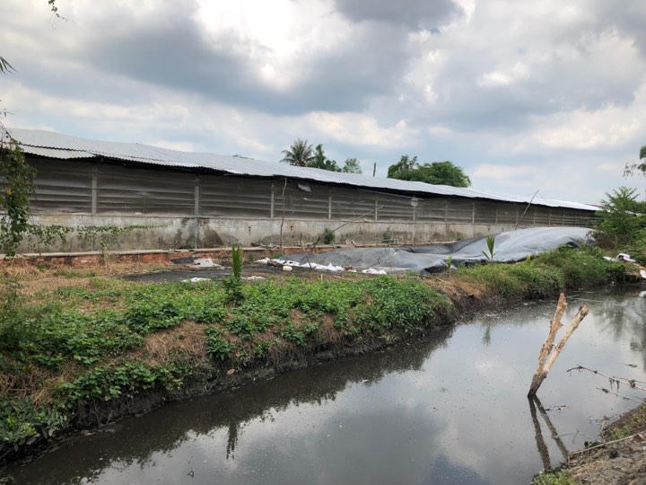 Vụ “Người dân khốn khổ vì trại heo xả thải thẳng ra kênh”: Ngành chức năng quyết liệt xử lý 