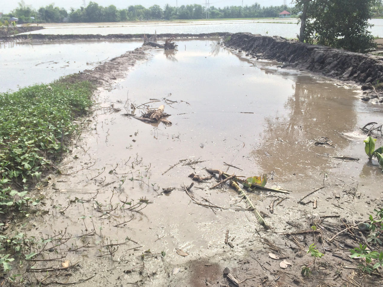 Cán bộ thôn tiếp tay cho người hút bùn lừa tiền nông dân ở Kiên Giang?