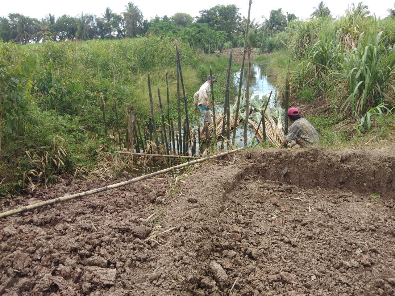 Tiếp vụ “Nông dân kêu cứu, cán bộ xã thờ ơ” ở Cà Mau: Công dân được gọi điện mời ra xã làm việc vào… ban đêm!