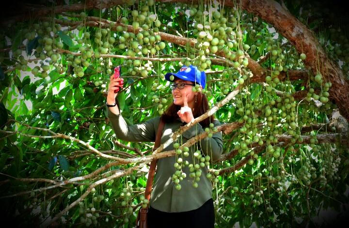 Hiệu quả từ chương trình 'mỗi xã một sản phẩm du lịch' ở U Minh