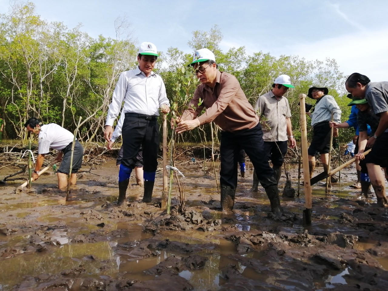 Phát động ra quân trồng rừng phòng hộ ven biển Nhà Mát