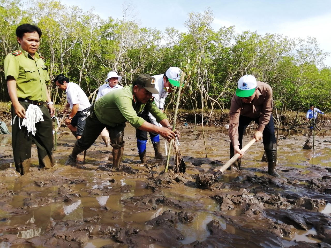 Phát động ra quân trồng rừng phòng hộ ven biển Nhà Mát