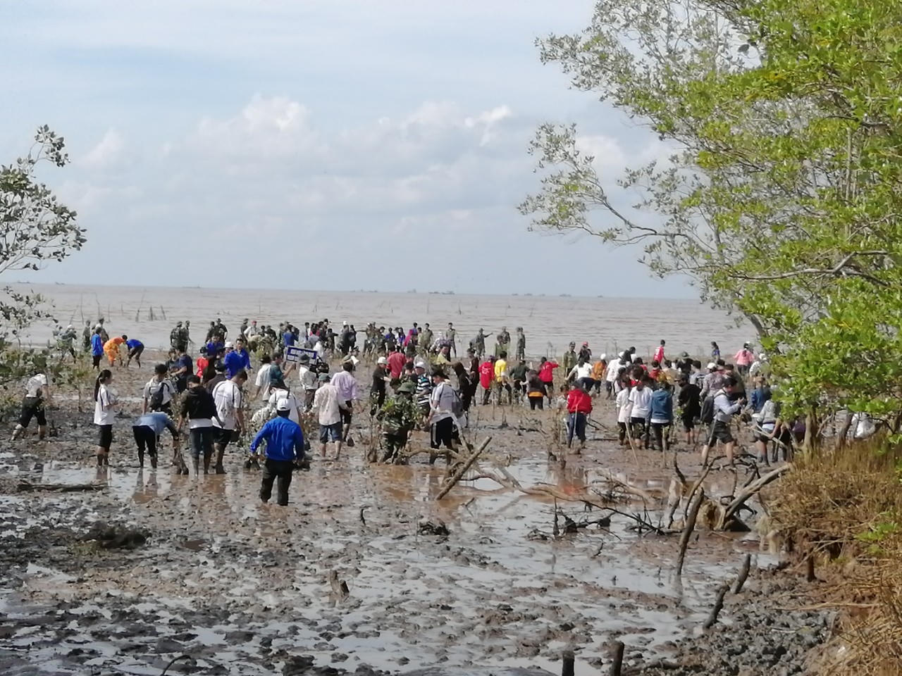 Phát động ra quân trồng rừng phòng hộ ven biển Nhà Mát