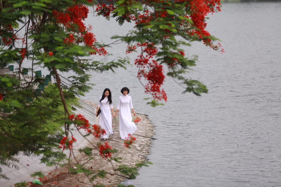 Thương những mùa hoa…