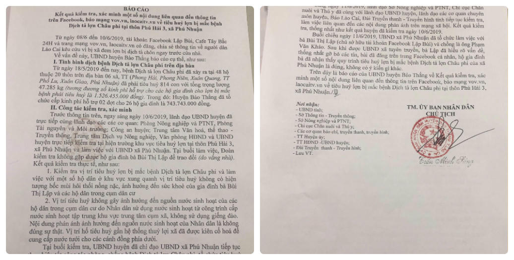 Lào Cai: Xã Phú Nhuận thực hiện nghiêm thủ đúng quy trình tiêu hủy lợn bị mắc dịch tả lợn châu Phi