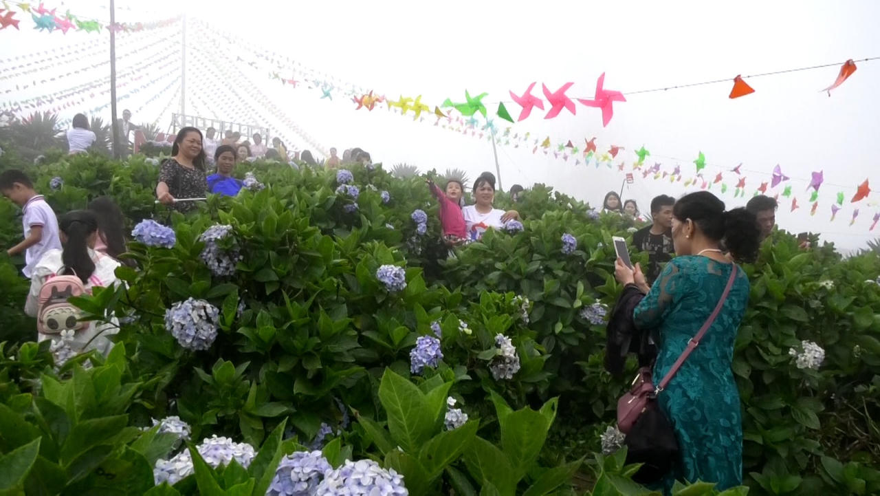 Phát huy tiềm năng và thế mạnh du lịch Mẫu Sơn 