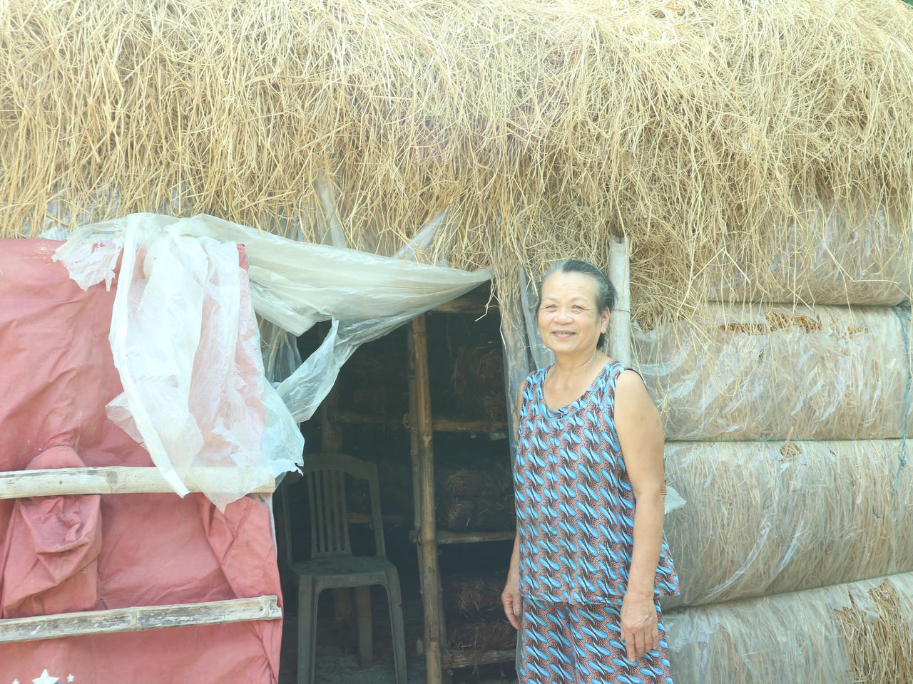 Trang trại bồ câu của nữ thương binh khiếm thị 