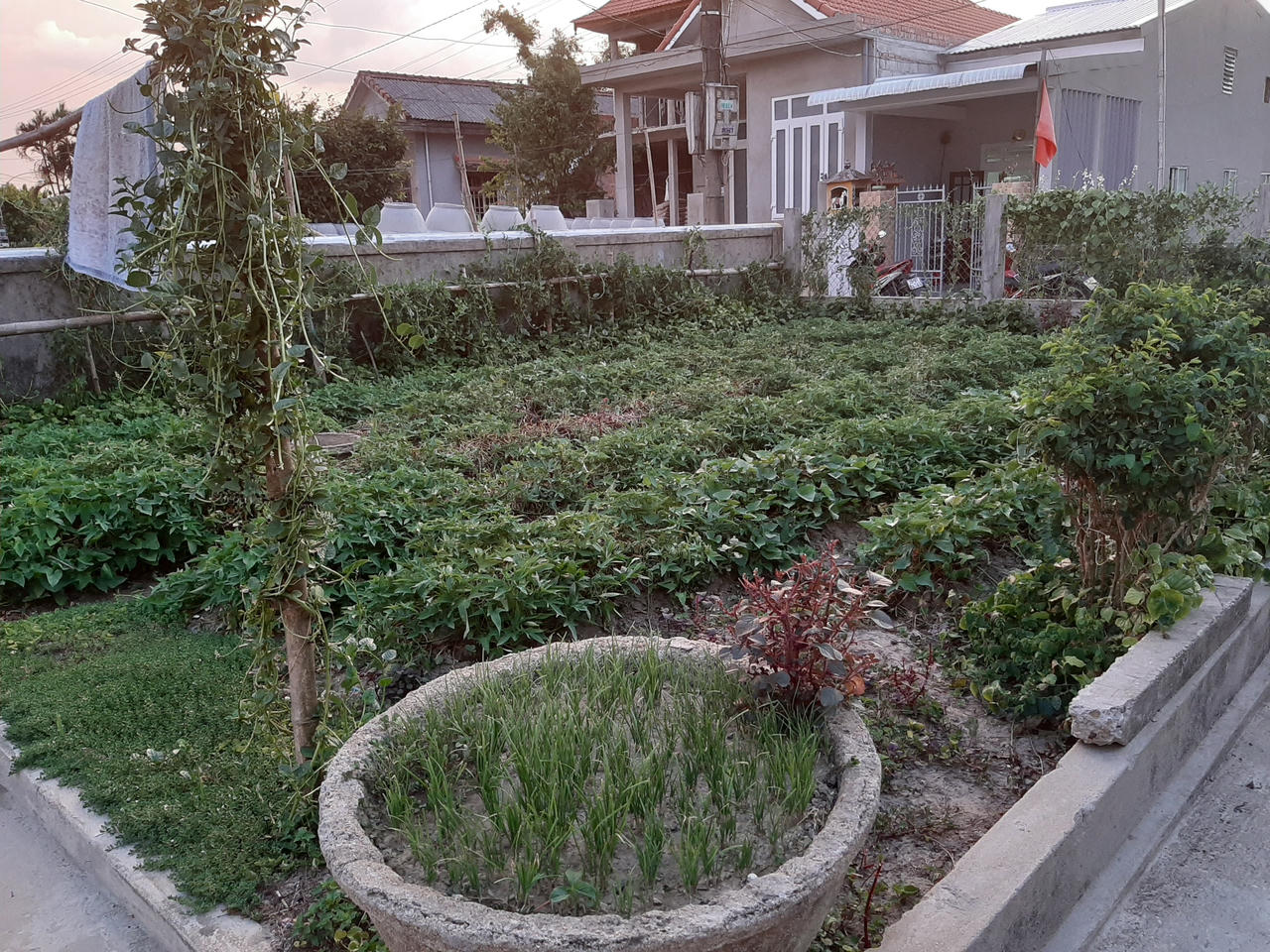 Ngày ấy, chúng tôi làm du kích…