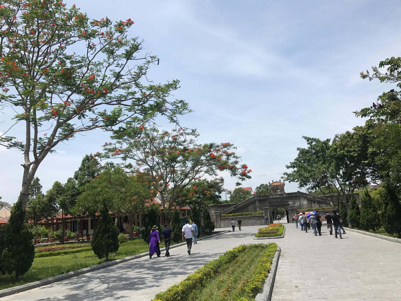 Cháy mãi màu hoa đỏ Trường Sơn