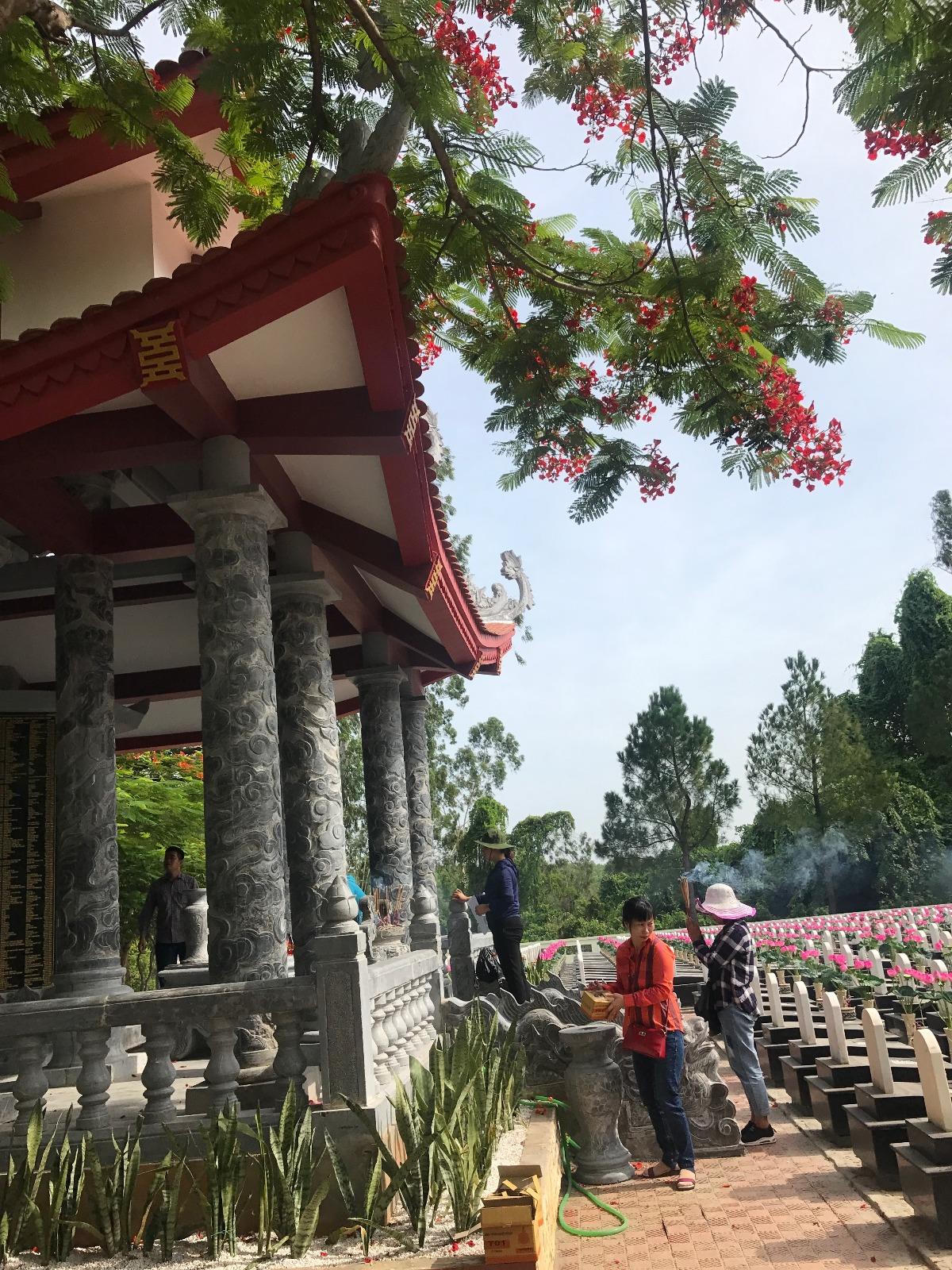 Cháy mãi màu hoa đỏ Trường Sơn