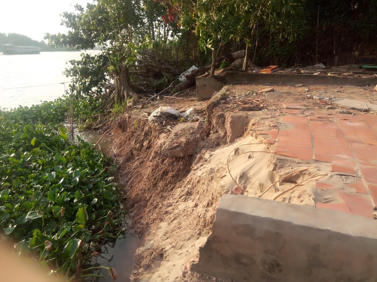 Sạt lở bờ sông, nhiều hộ dân An Giang phải di dời khẩn cấp