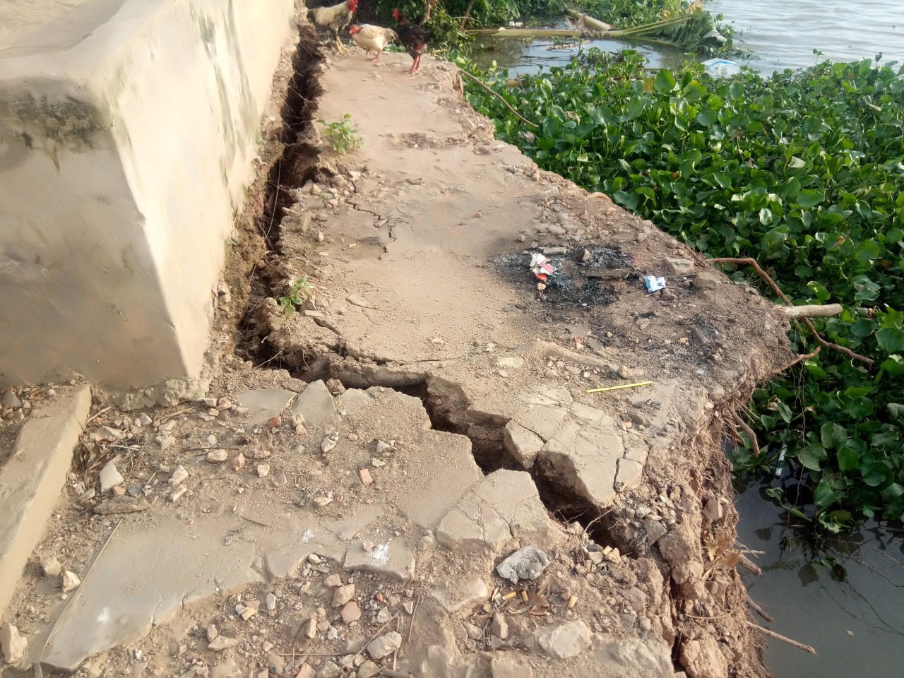 Sạt lở bờ sông, nhiều hộ dân An Giang phải di dời khẩn cấp